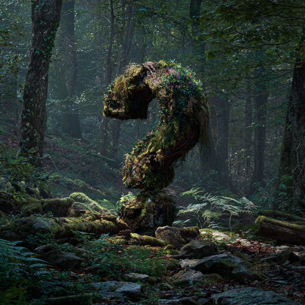 image from The Usual Question